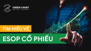 Trang Chủ 19 Cổ phiếu ESOP là gì?
