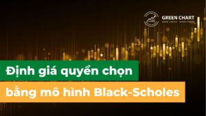 Định giá quyền chọn bằng mô hình Black-Scholes