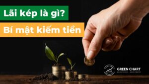 Lãi kép là gì? Công thức tính và hiệu ứng của lãi kép