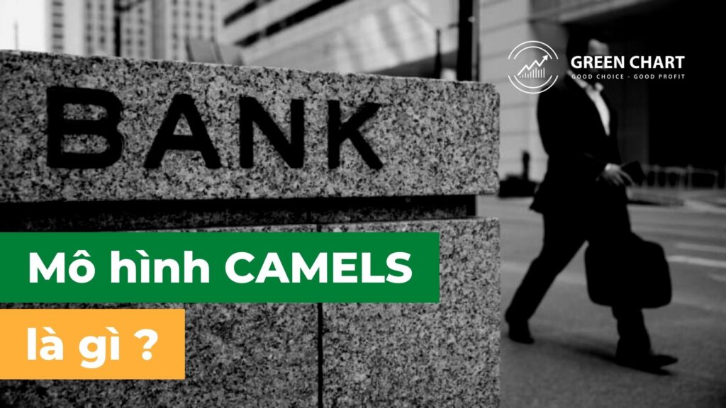 Phân tích ngành: Mô hình CAMELS và cổ phiếu ngành ngân hàng