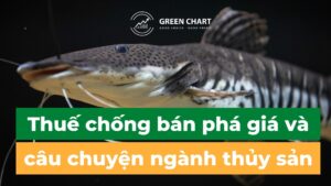 Trang Chủ 5 Thuế chống bán phá giá và câu chuyện ngành thủy sản