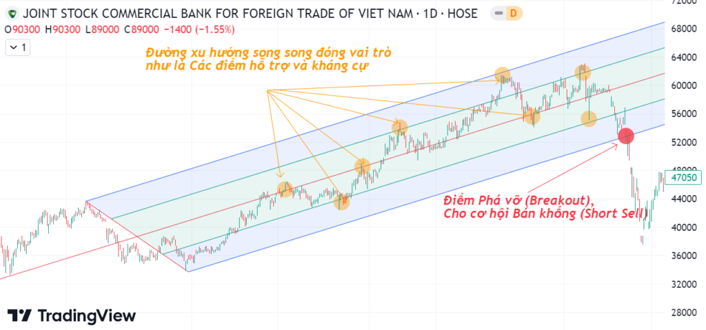 Andrews Pitchfork là gì? Hướng dẫn toàn diện giúp nhà đầu tư làm chủ "cây đinh ba" Andrews Pitchfork